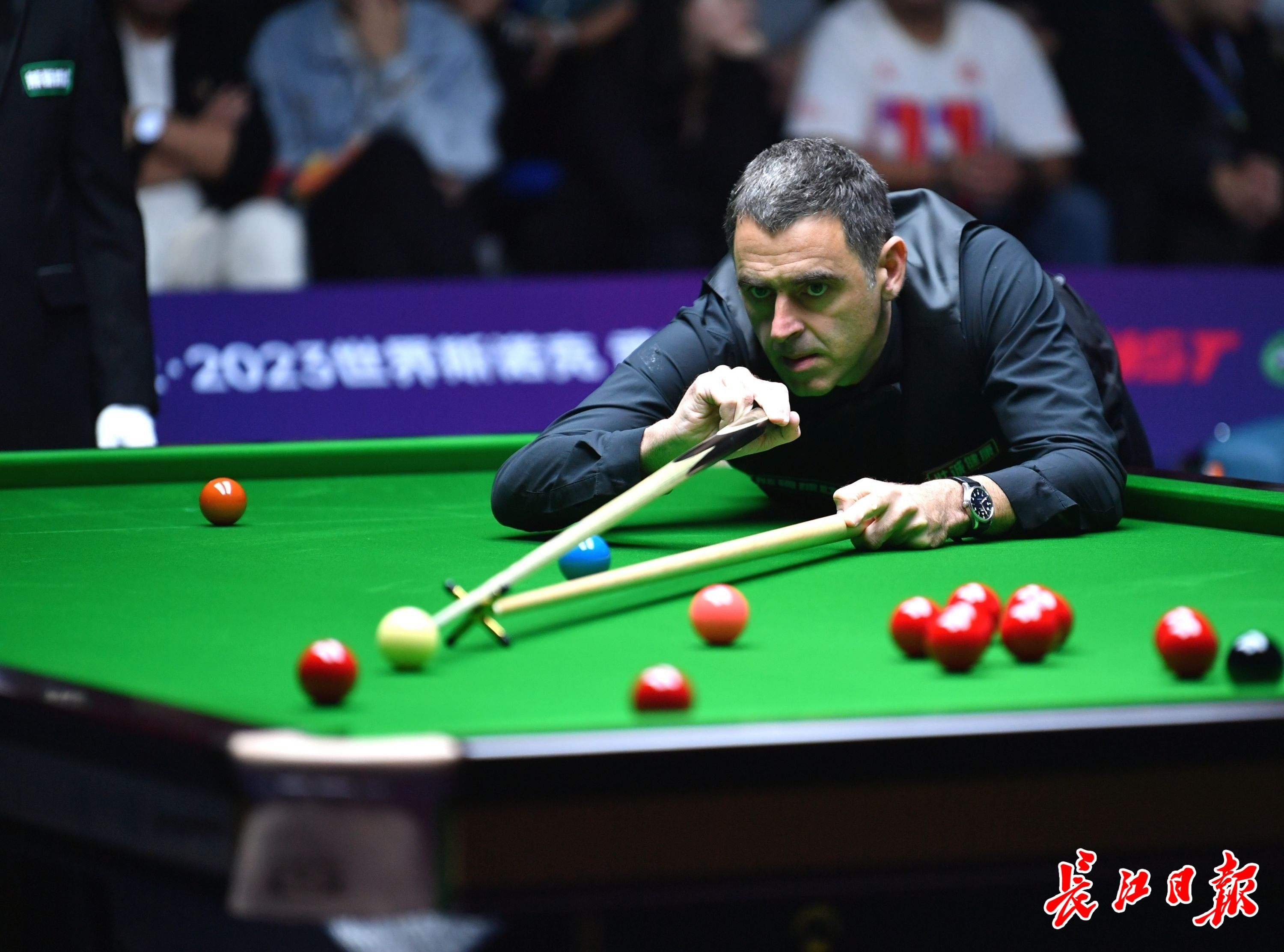 球队的整体 球队的整体