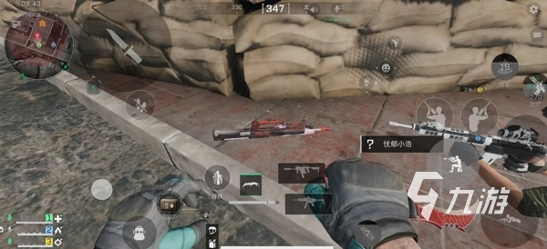 FPX